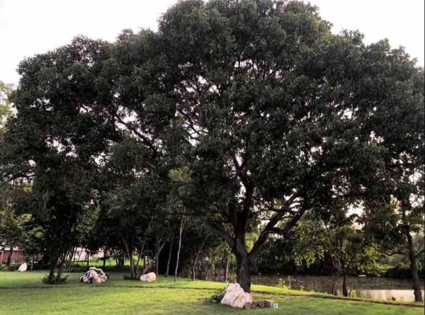 Premium Space In Santiago- 5 Min Away From Airport 산티아고 데 로스 카바예로스 0*,  도미니카 공화국
